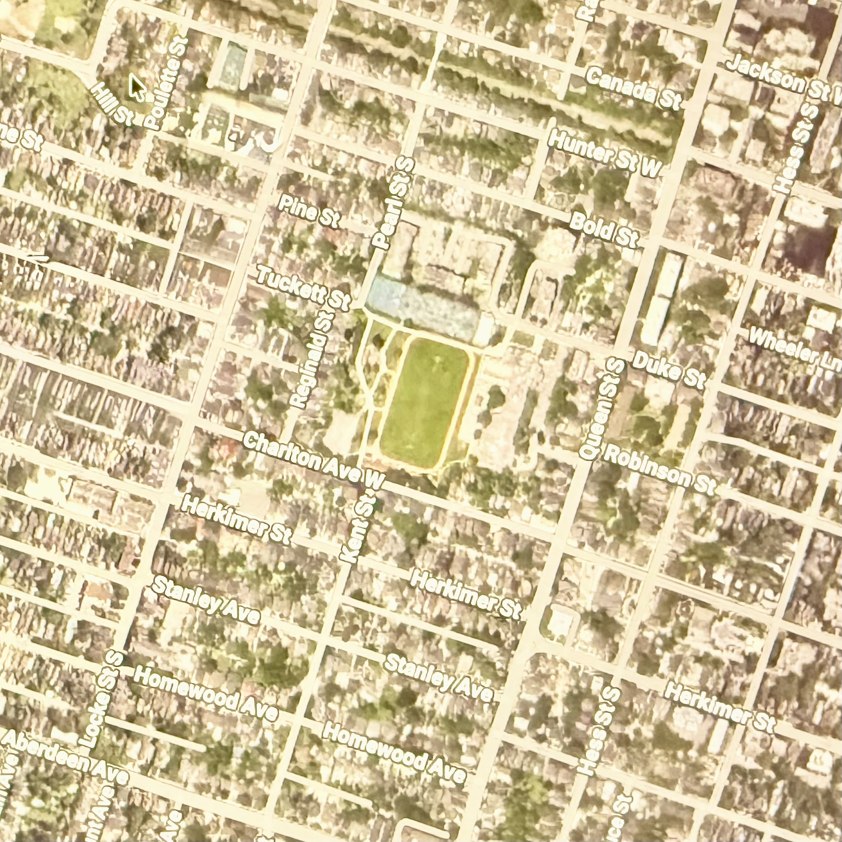 This Was Our Neighbourhood